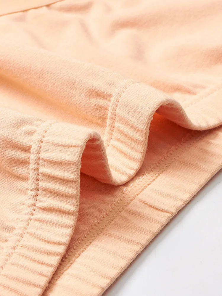 2-Pack Women's Cotton Sheer Elastic Soft Full Coverage Panties