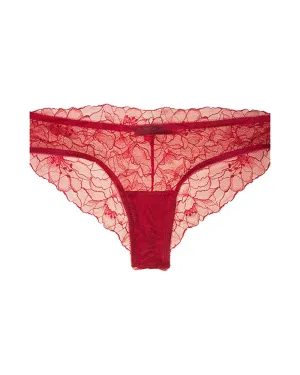All Lace Glamour Brief