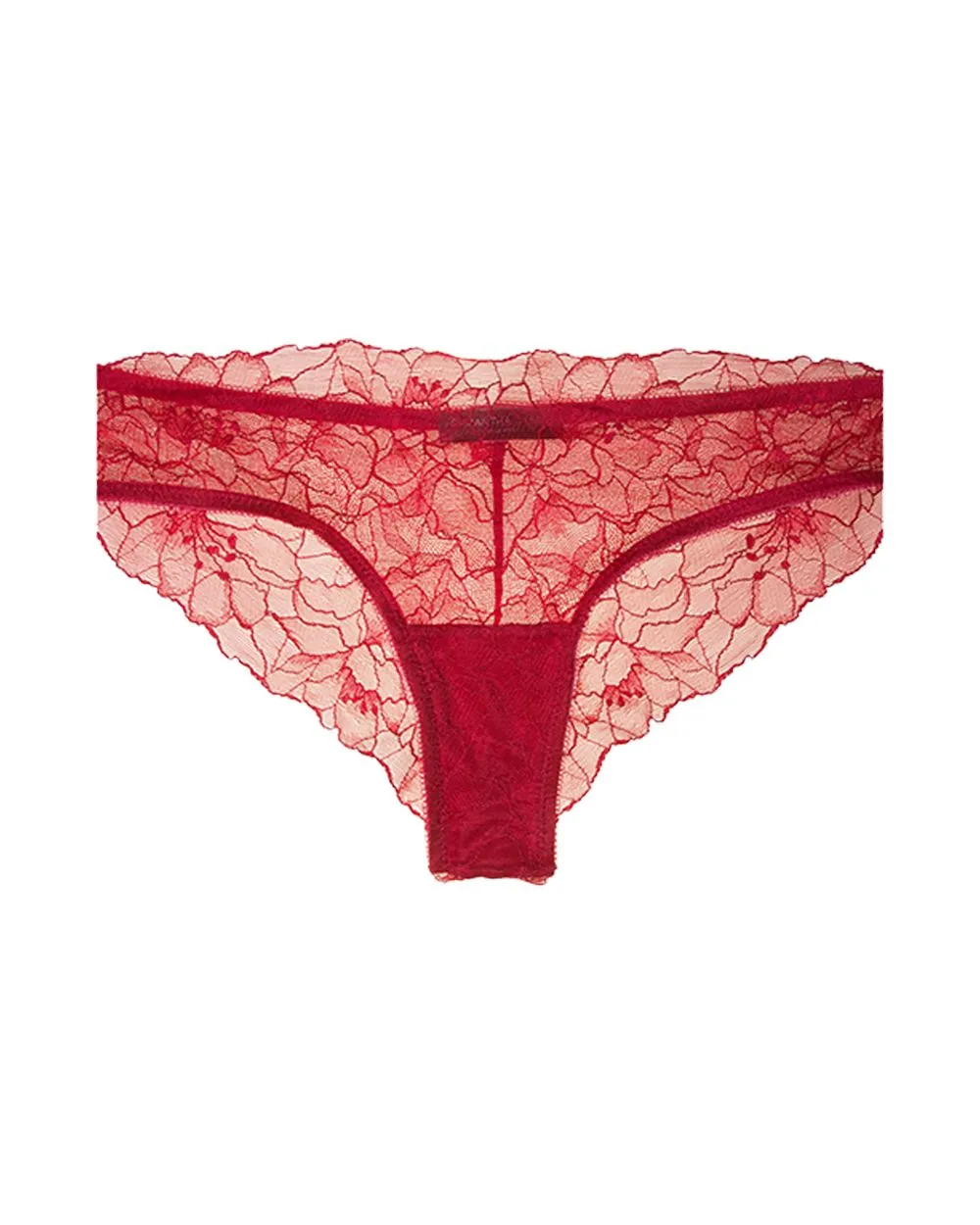 All Lace Glamour Brief