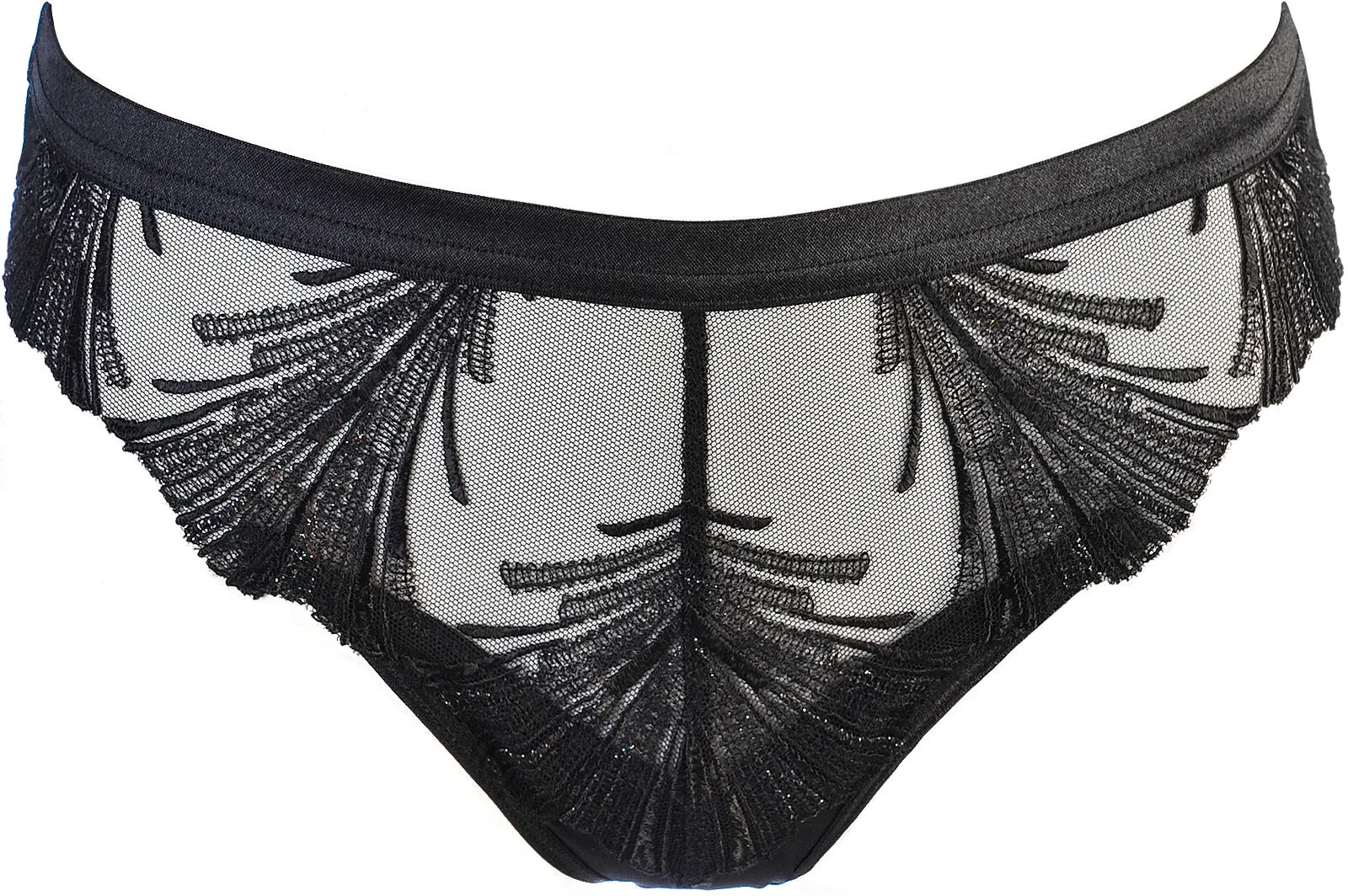 Axami Timeless Shimmering Embroidery Sheer String Panty Black