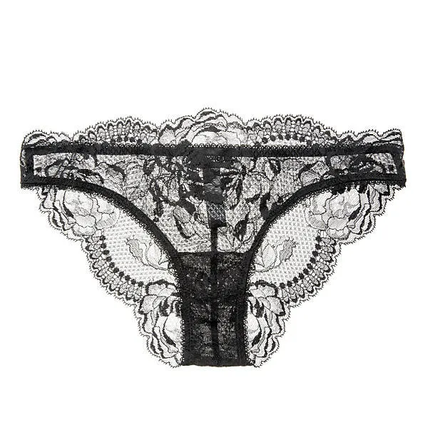 Begonia Brazilian Brief