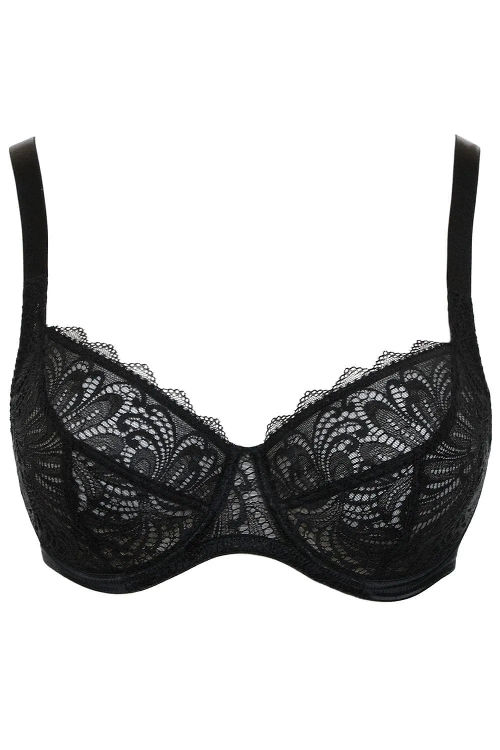 Hey Jude! Underwire Bra in Black