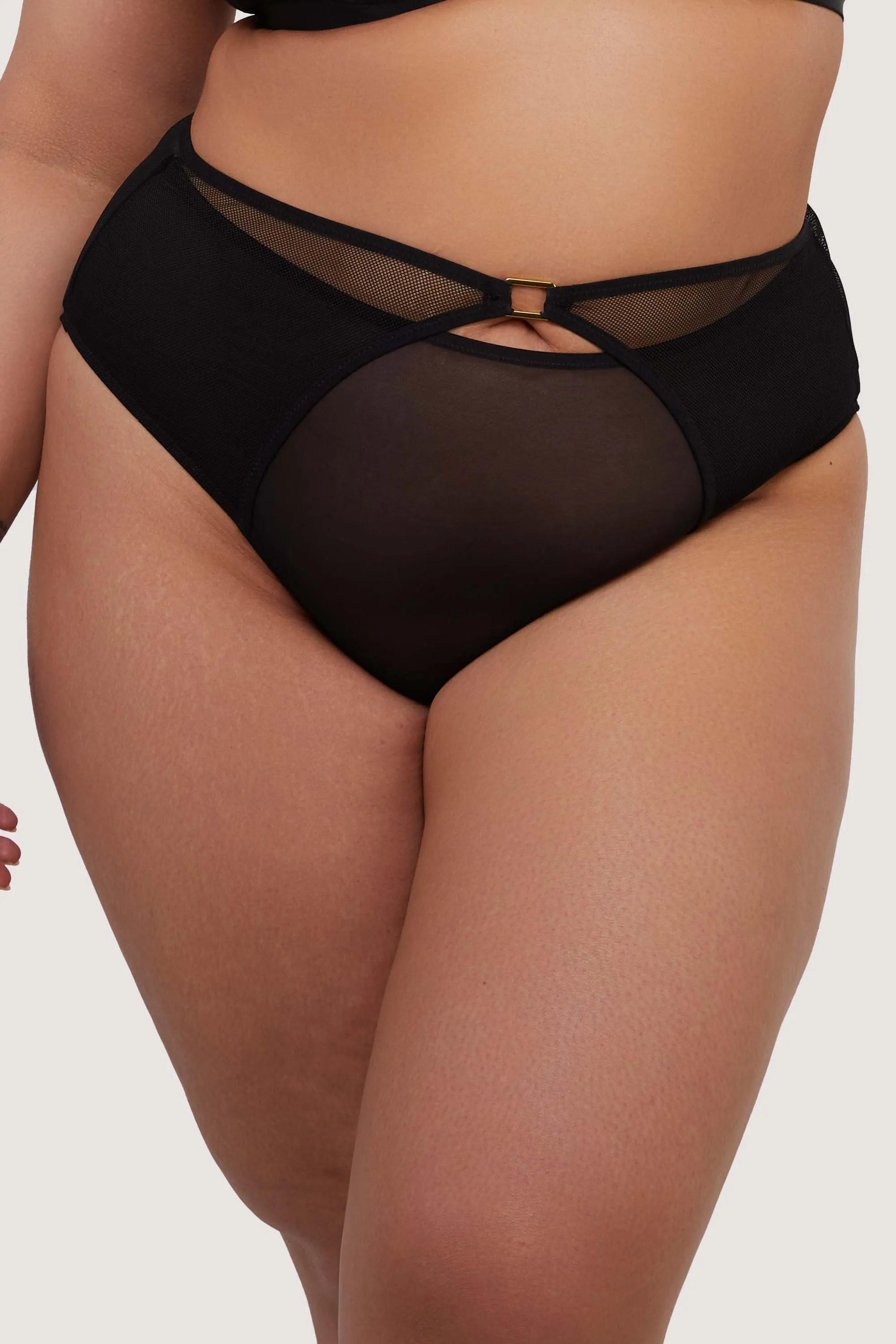Holland Fishnet and Mesh High Waisted Brief
