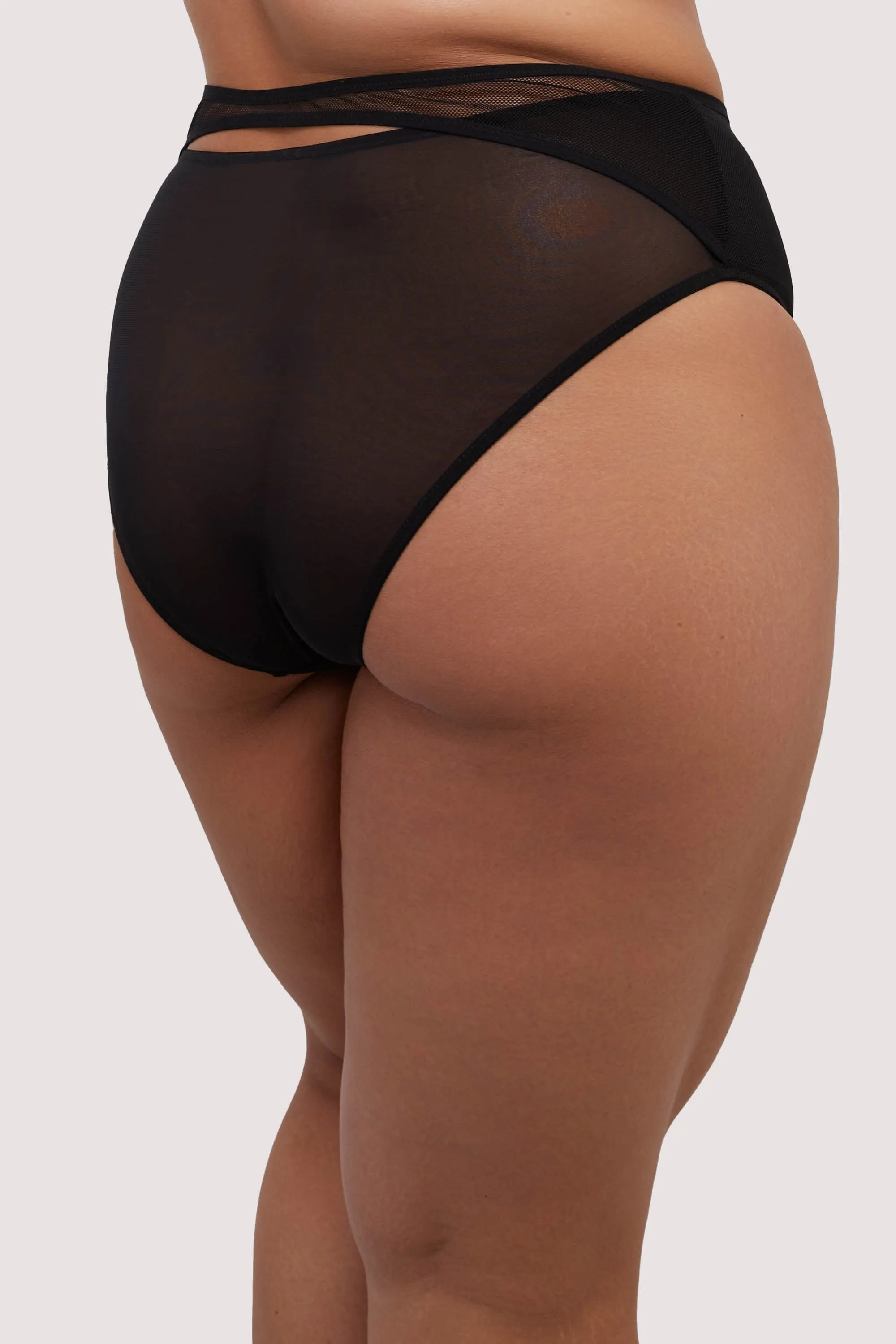 Holland Fishnet and Mesh High Waisted Brief