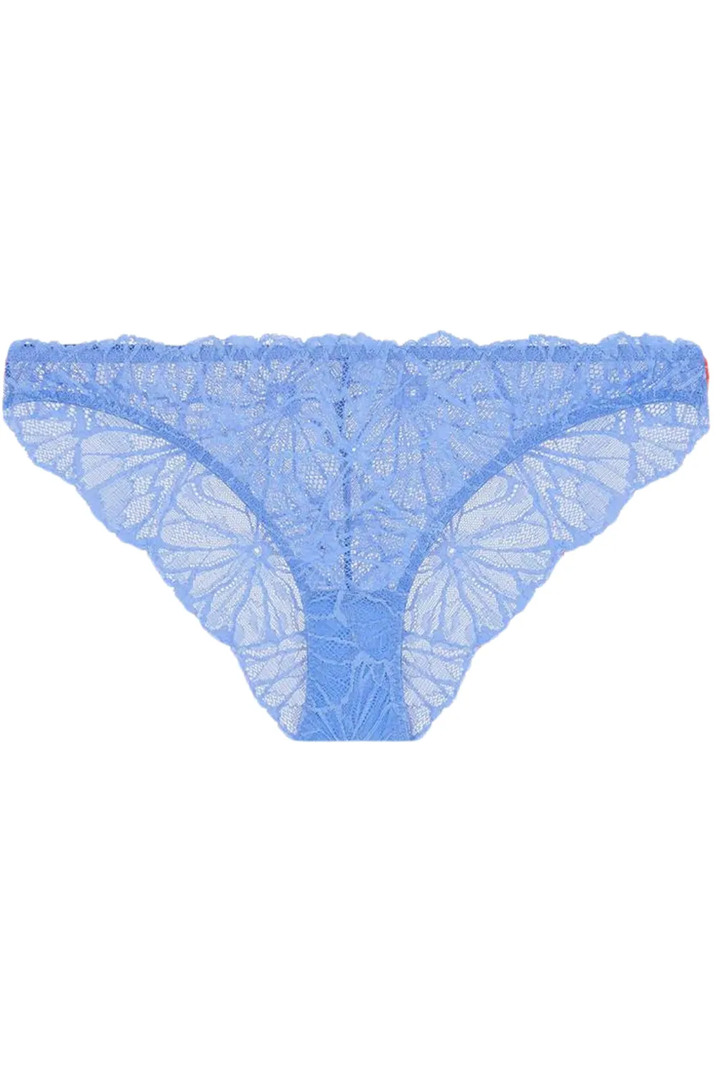 Lena Graphic Lace Knicker Blue