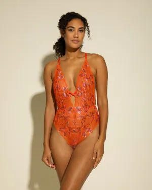 Plunge Teddy