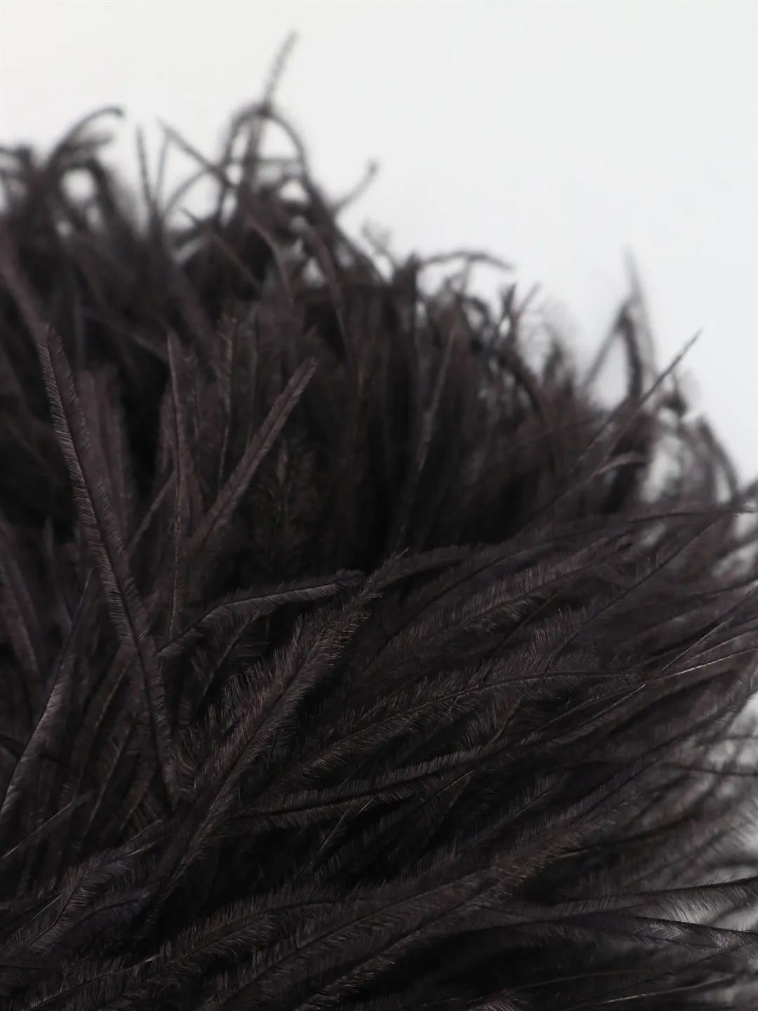 Saint Laurent Feather Choker