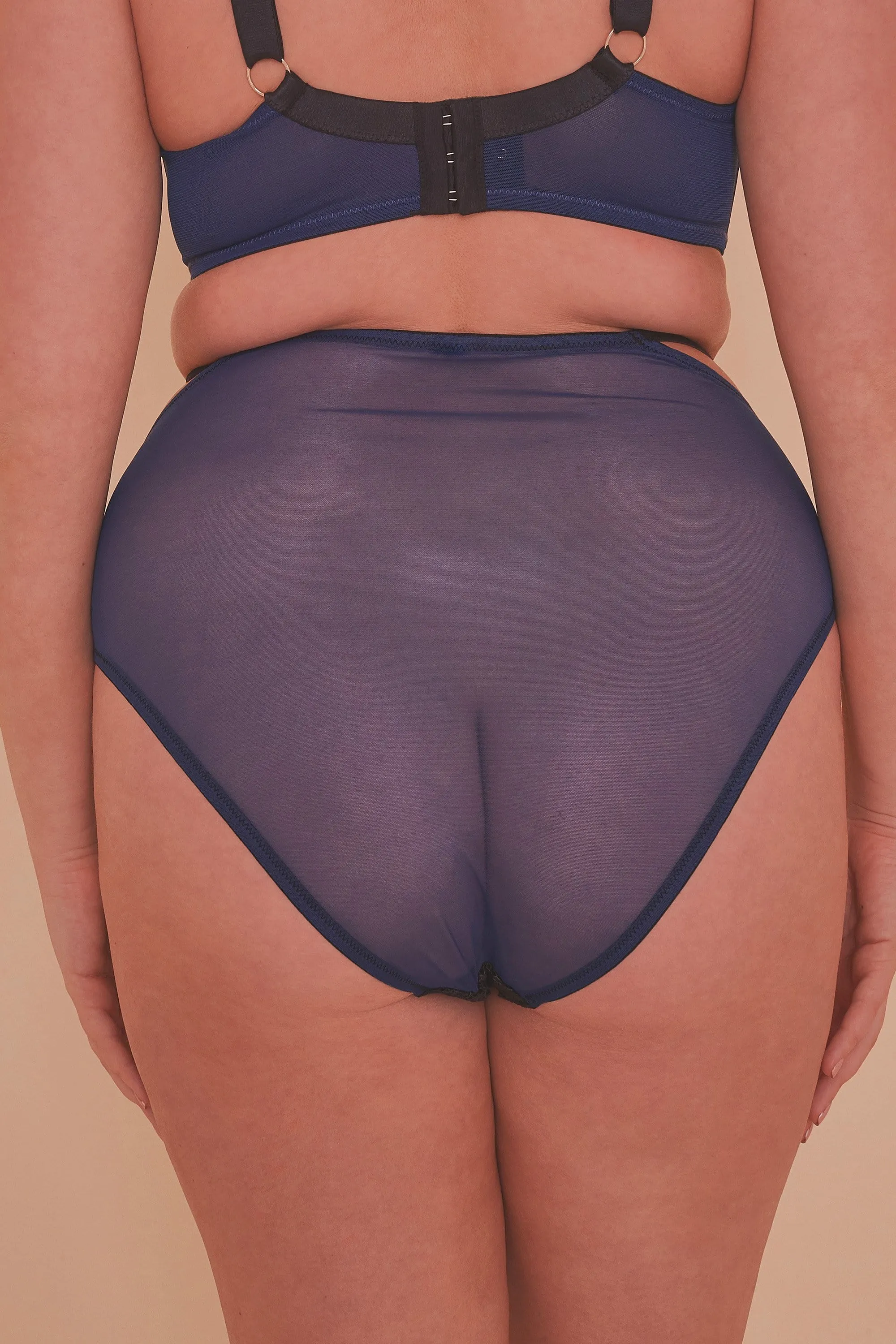 Tabitha Blue Embroidery Curve HW Brief
