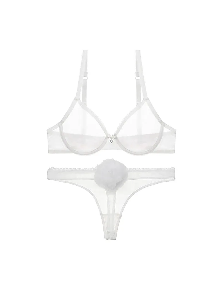Women's Sexy Sheer Mesh Lingerie Bra and Thong Panty Set